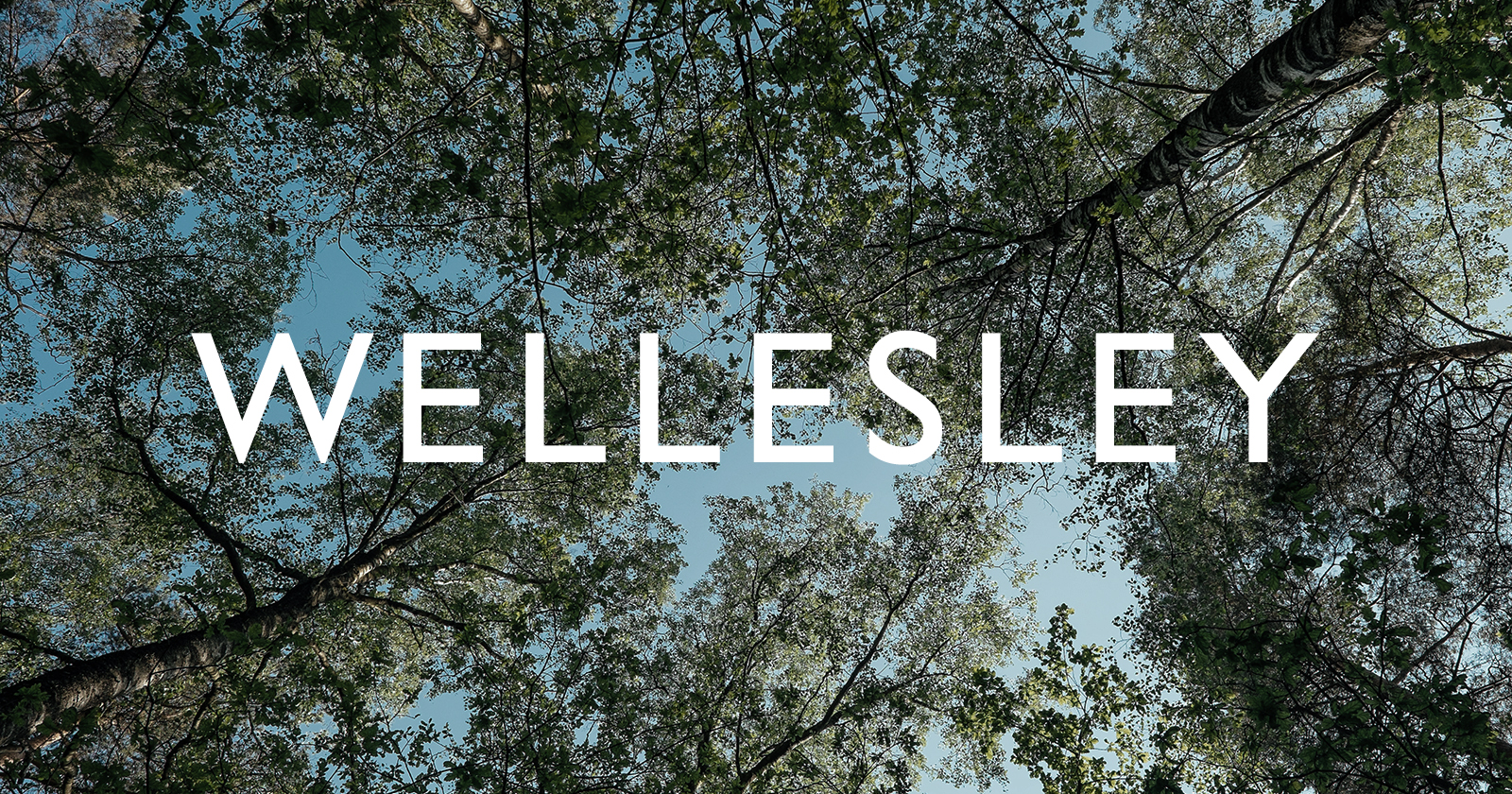 Guide to Wellesley: B/SPOKE Edition